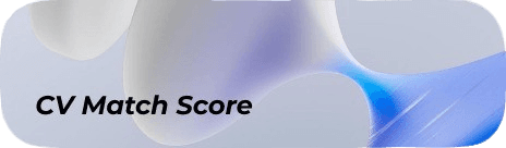 CV Match Score